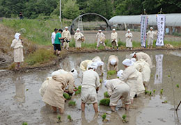 Yeongdong Seolgyeri Nongyo Image